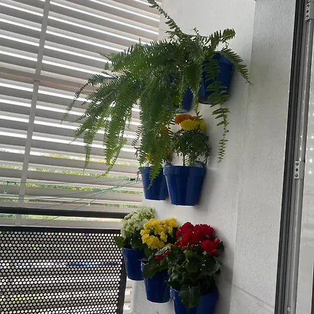 Rafols Apartamento
