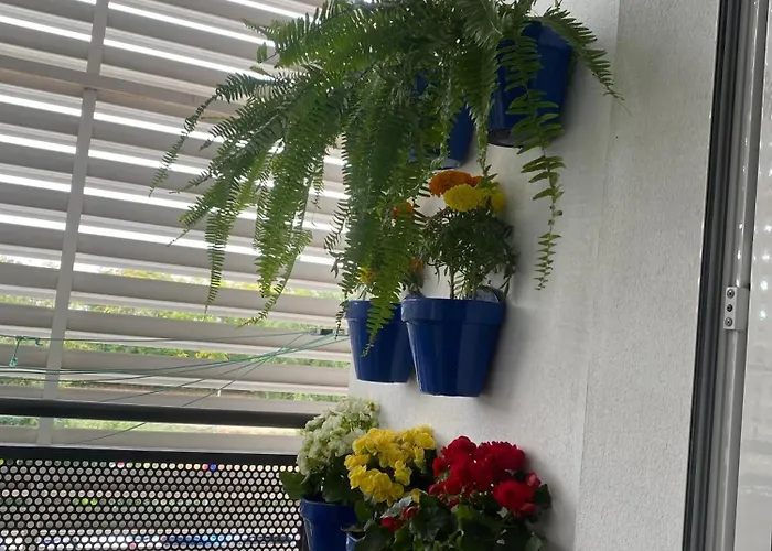 Rafols Apartamento